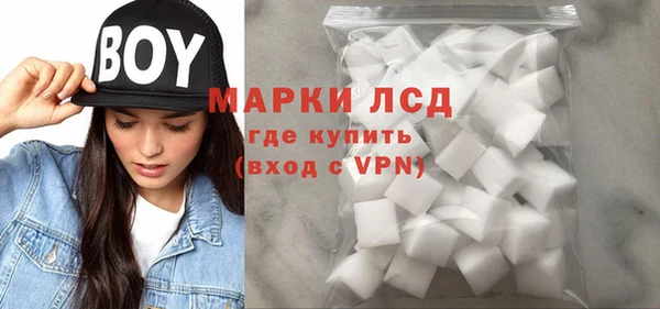 индика Аркадак
