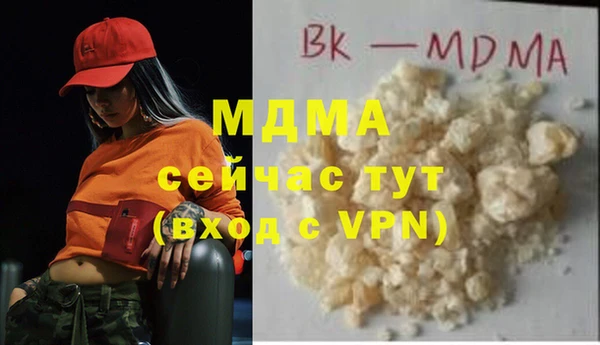индика Аркадак