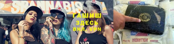 индика Аркадак