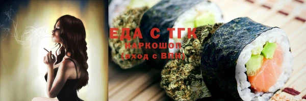 индика Аркадак