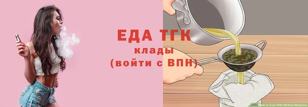 индика Аркадак