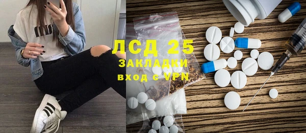 индика Аркадак
