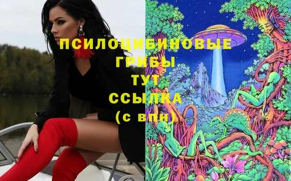 индика Аркадак